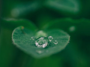 Image by Aaron Burden