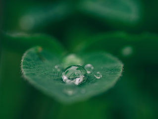 Popular Topic: The Basics of 'EZ' Water