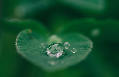 Image de Aaron Burden