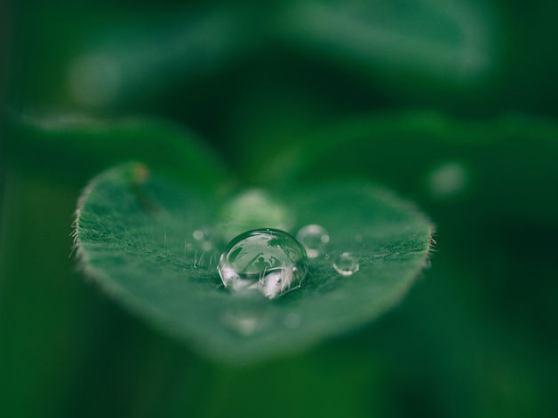 Image de Aaron Burden