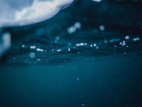 Open letter: A call to celebrate and advance ocean education on 21 May