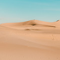 Image by Hari Nandakumar