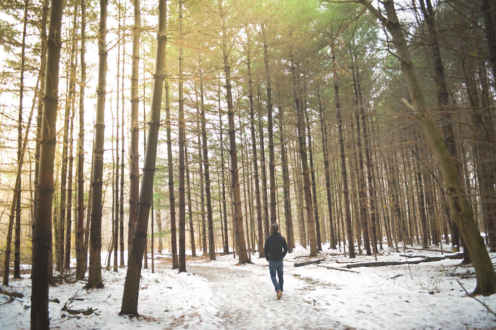 Waldspaziergang in Stille – Finde Ruhe und Kraft in der Natur