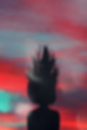 Image by Mohamed Nohassi