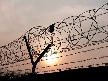 Barbed Wire and Fence