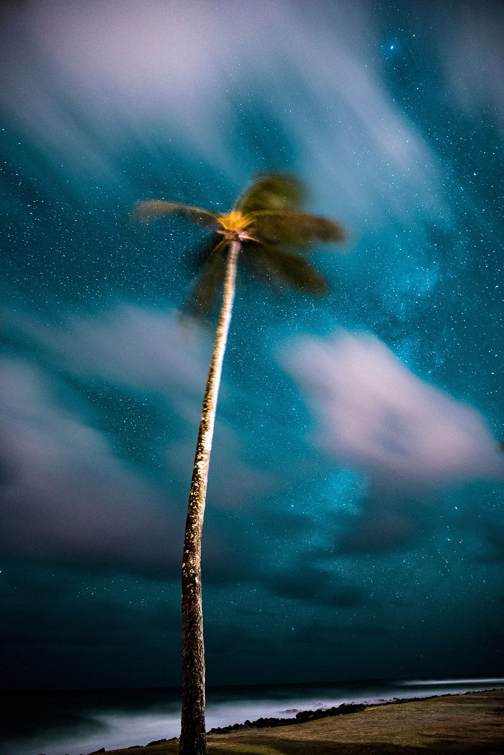 ree