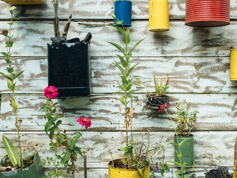 PERMACULTURE: Planting Outside The Garden Box