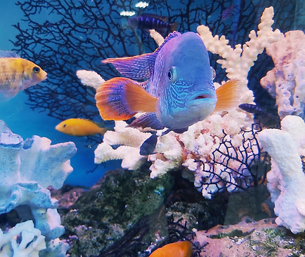 Image by Евгения Пивоварова