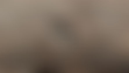 A Kiss from Rose| Do Not Allow Anyone to Sway You