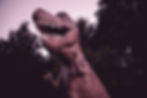 Jurassic Live Show