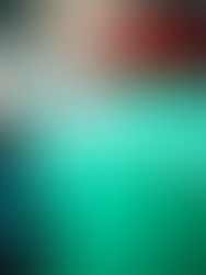 Denuncian el retroceso en las políticas de movilidad sostenible