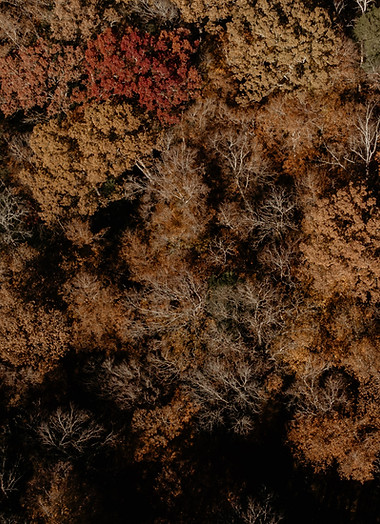 Image by John Price
