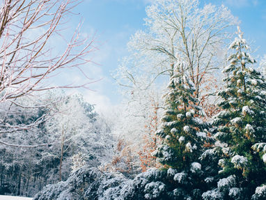 15 Holiday Survival Tips for Navigating Interpersonal Challenges