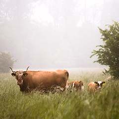 Image by Karsten Würth