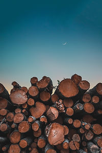Image by Daniel Soderman
