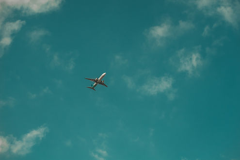 Image by Reinaldo