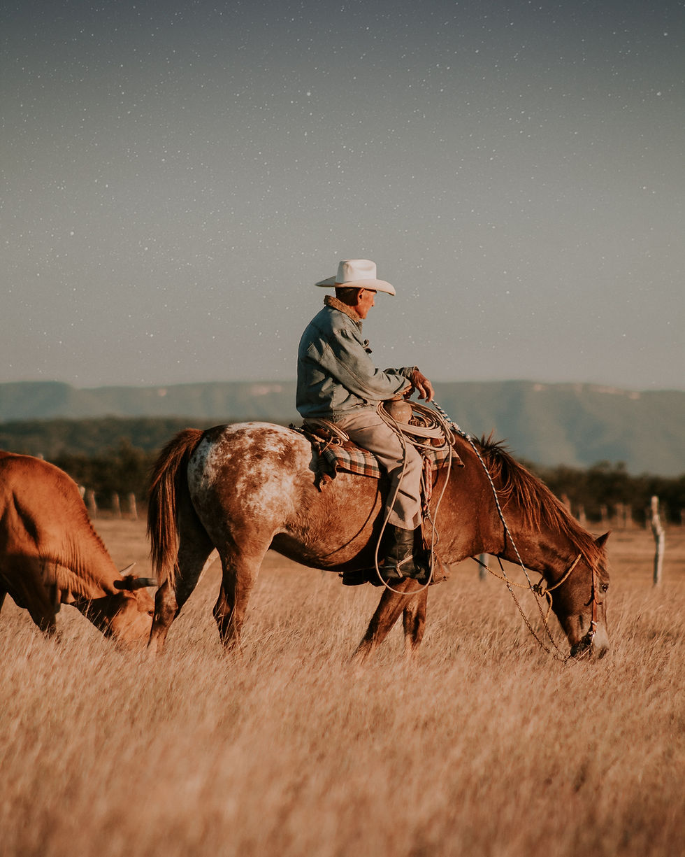 cowboy tending to his cattle under the stars while riding horse