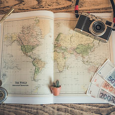 Accredited Pet Travel Certificate