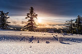 Vinter