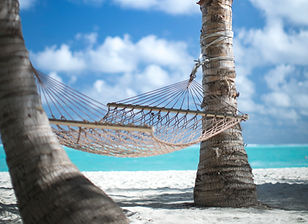 Image by Mohamed Ajufaan