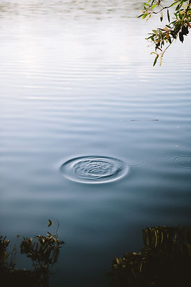 Image by Jake Charles