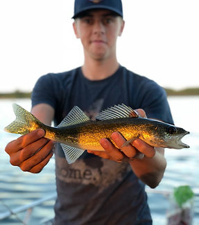 Image by seth schulte