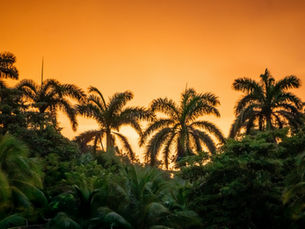 Unlock Exclusive Luxury: Booking the Perfect Airbnb in Montego Bay for UK and Canadian Travelers