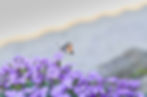 Image de Fabien Lebre