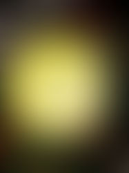 Invertir en criptomonedas desde España: guía esencial para principiantes