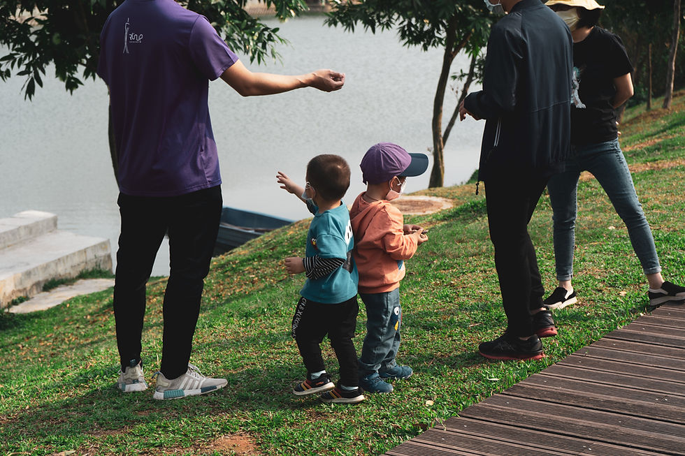 San Francisco Family Activities This Fall: A Guide to Memorable Experiences