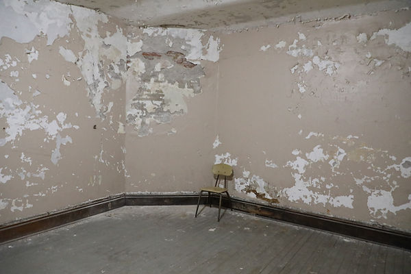 Mold remediation in Orange County can avert serious mold damage like what's pictured here.(Image by Michael & Diane Weidner)