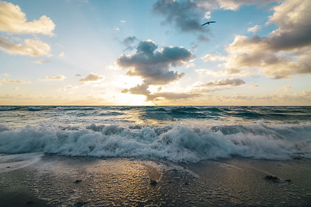 Image by Brice Cooper