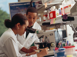 UK-Germany Science Collaboration Offers Strategic Opportunities for NETPark Innovators