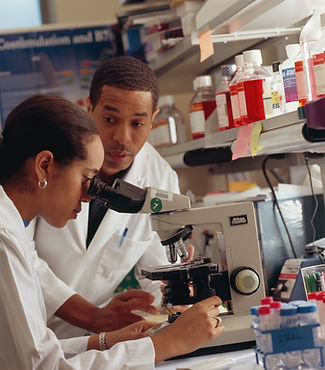 Image by National Cancer Institute
