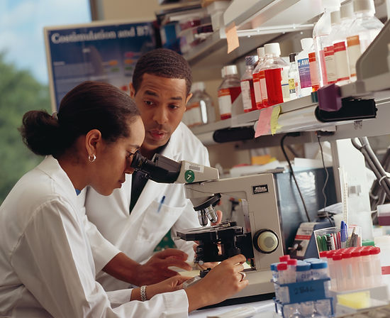 Image by National Cancer Institute