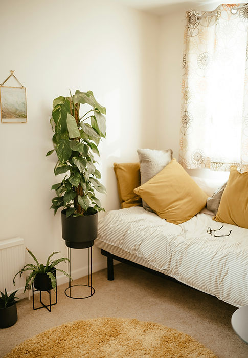 Image by Annie Spratt