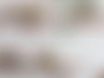 O fenómeno da prateleira