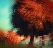 Image by Jr Korpa