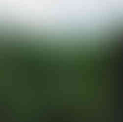 La Fortuna Arenal Volcano