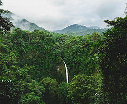 Image by Etienne Delorieux