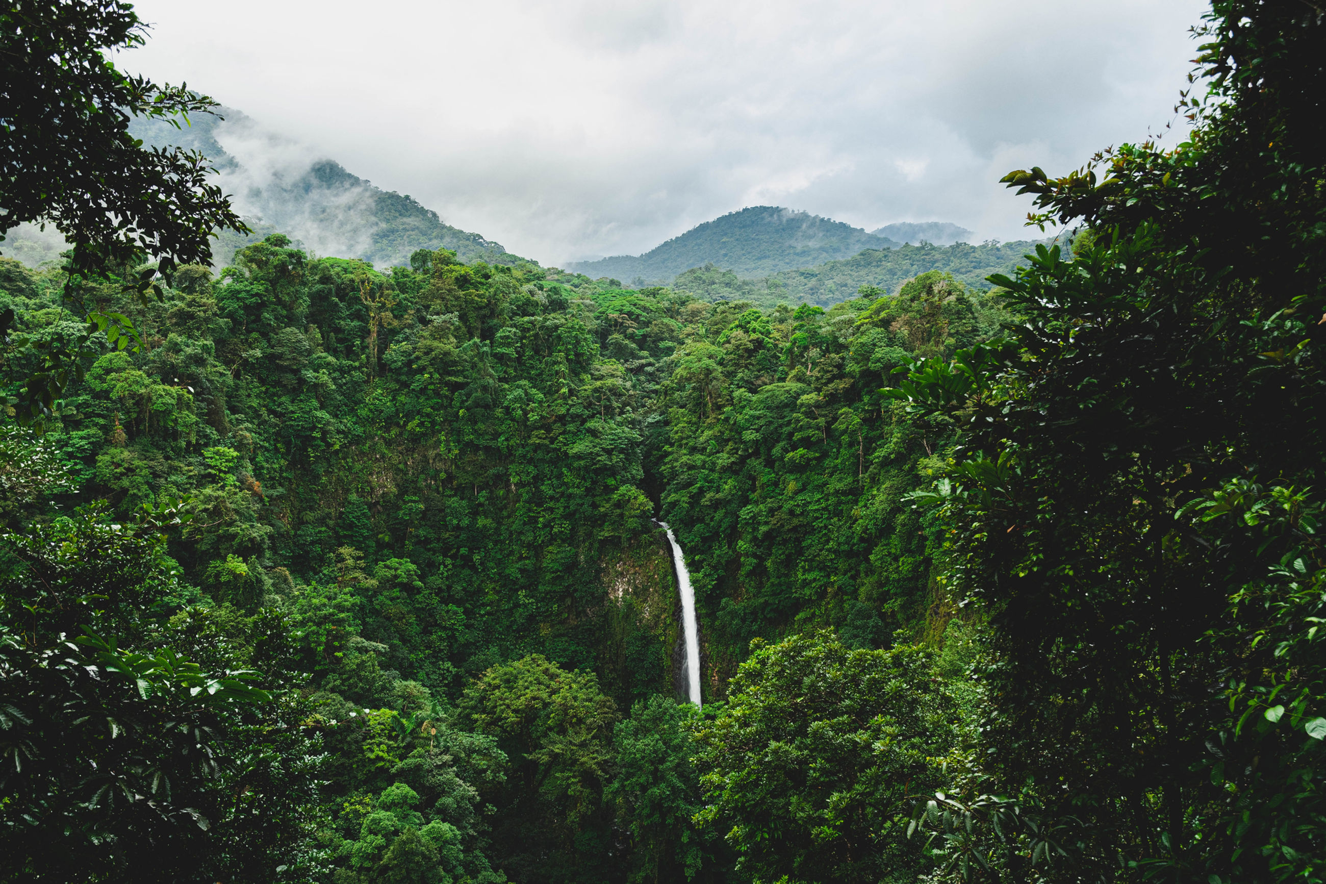 Costa Rica Adventure: Nature’s Playground