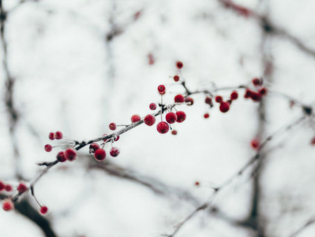 Winter Woodland Wedding