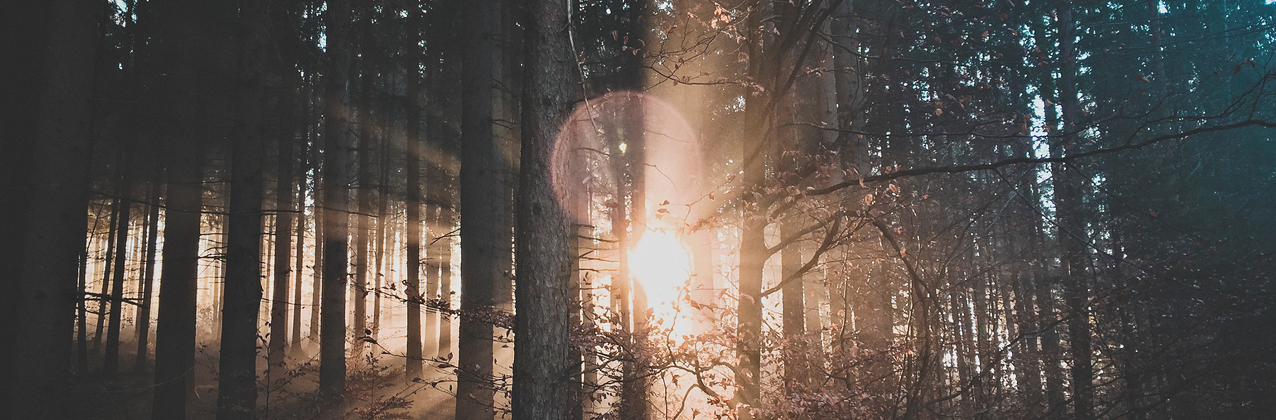 Image by Ju On