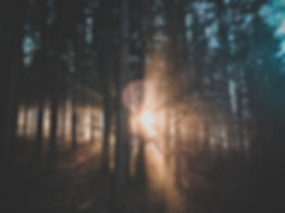 Image by Ju On