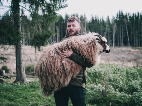 Are you following Jesus, the good shepherd, or a stranger?
