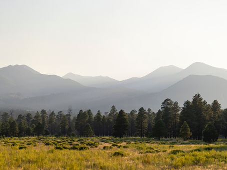 Native Mending the Soul - A Story of Friendship, Provision, & Healing
