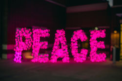 Image by Jonathan Meyer