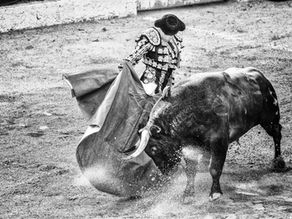 Insultos para los taurinos