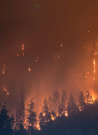 Image by Matt Howard