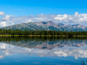 Welcome to Infinite Itineraries Alaska